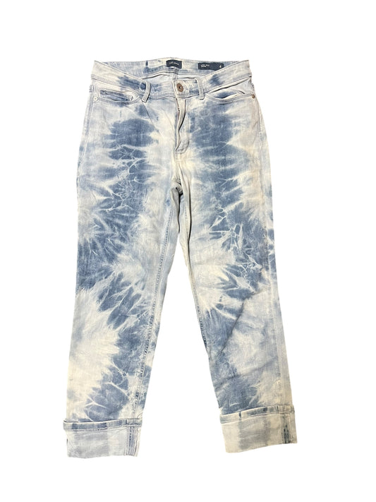 Denim J. Jill Jeans, 4