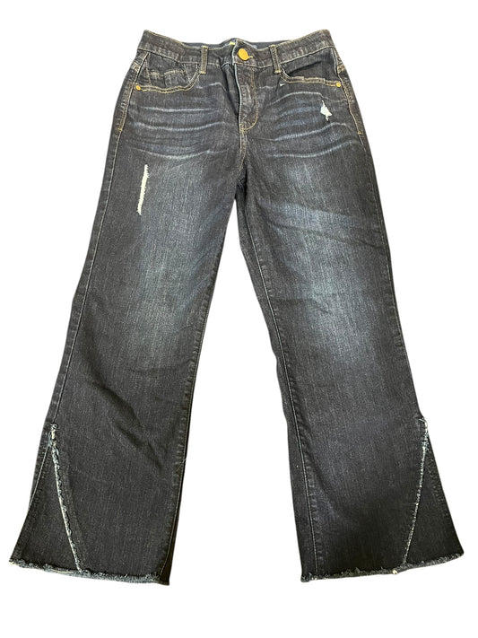 Denim Democracy Jeans, 6P