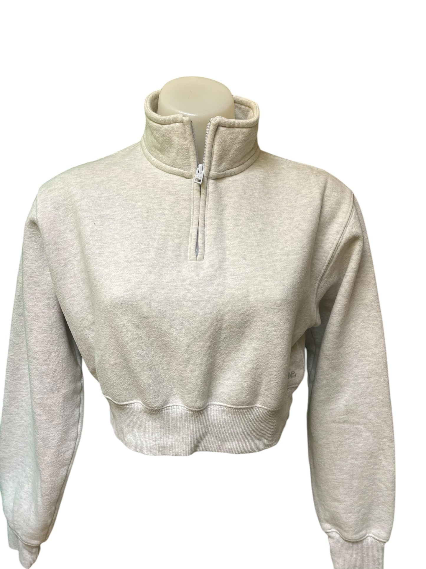 Gray TNA Sweatshirt, xs