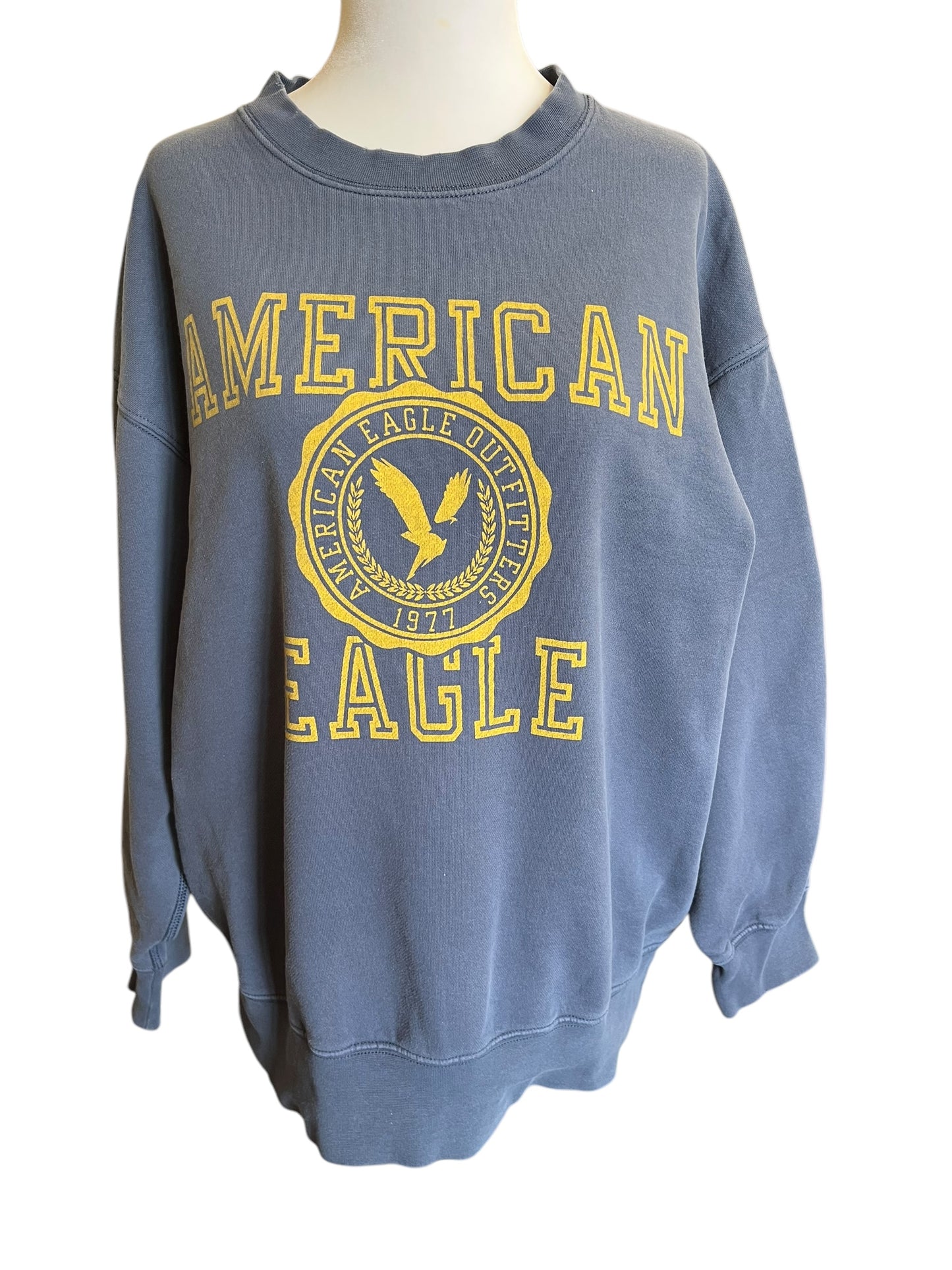 blue American Eagle Sweatshirt, Medium